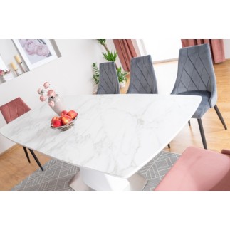 Lot de 2 chaises TRIANON en tissu velours de qualité, couleur noir