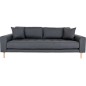 Canapé 3 places en tissu de qualité LISA coloris gris foncé Canapé 3 places en tissu de qualité LISA coloris gris foncé
