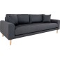 Canapé 3 places en tissu de qualité LISA coloris gris foncé Canapé 3 places en tissu de qualité LISA coloris gris foncé
