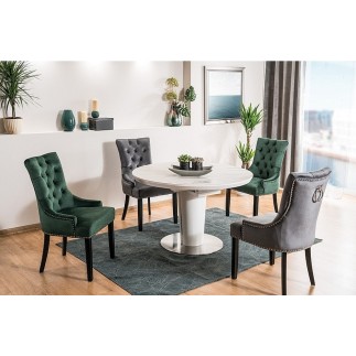 Lot de 2 chaises EDWIN tissu velours de qualité, couleur vert