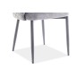 Lot de 2 chaises ASTEN en tissu velours de qualité, couleur gris