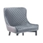 Lot de 2 chaises COLB en tissu velours de qualité, couleur gris