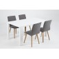 Lot de 2 chaises design tissu gris clair, KENZI