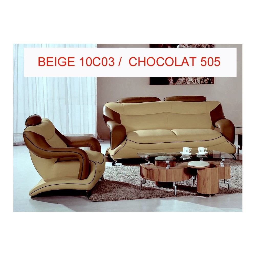 Ensemble VILLA composé d'un canapé 3 places et 2 places Cuir Prestige luxe. BEIGE N°10C03 ET CHOCOLAT N°505