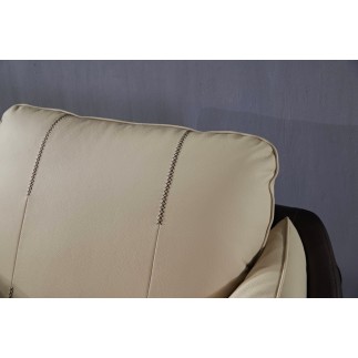 Ensemble Ensemble canapé 3 places et 2 places et fauteuil en cuir italien buffle DUBLIN, couleur beige et liseret chocolat